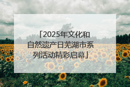2025年文化和自然遗产日芜湖市系列活动精彩启幕