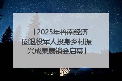 2025年鲁南经济圈退役军人投身乡村振兴成果展销会启幕