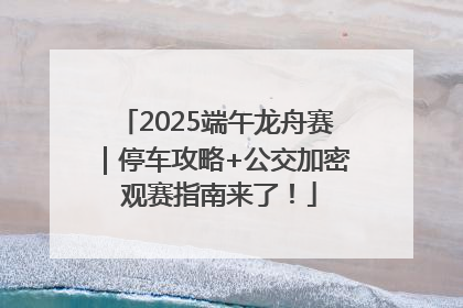 2025端午龙舟赛｜停车攻略+公交加密 观赛指南来了！