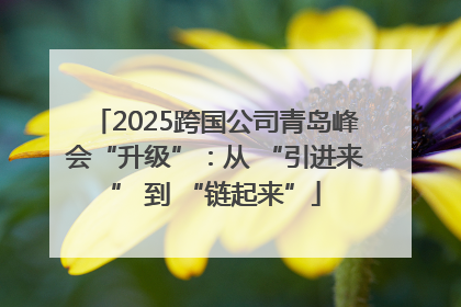 2025跨国公司青岛峰会“升级”：从 “引进来” 到 “链起来”
