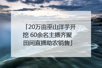 20万亩巫山洋芋开挖 60余名主播齐聚田间直播助农销售