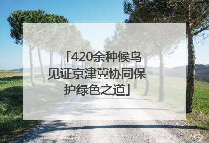420余种候鸟见证京津冀协同保护绿色之道