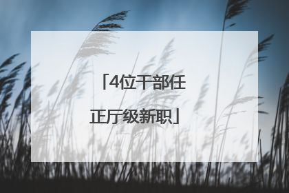4位干部任正厅级新职