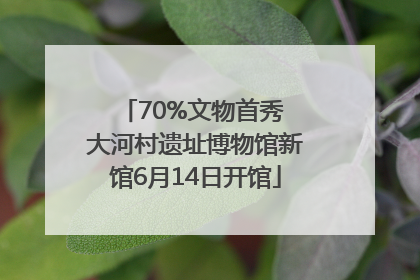 70%文物首秀 大河村遗址博物馆新馆6月14日开馆