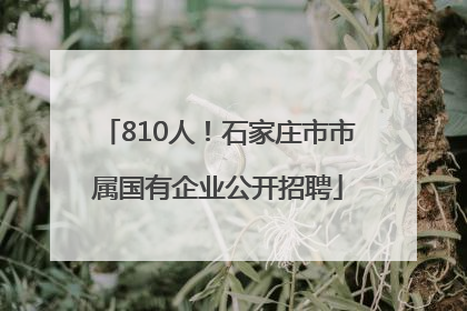 810人！石家庄市市属国有企业公开招聘