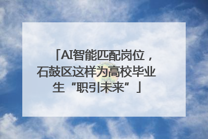AI智能匹配岗位，石鼓区这样为高校毕业生“职引未来”