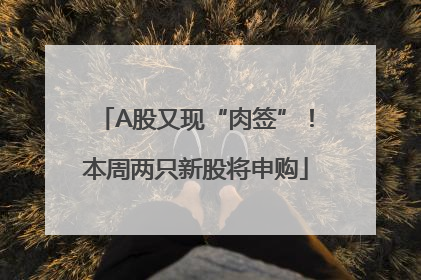 A股又现“肉签”！本周两只新股将申购