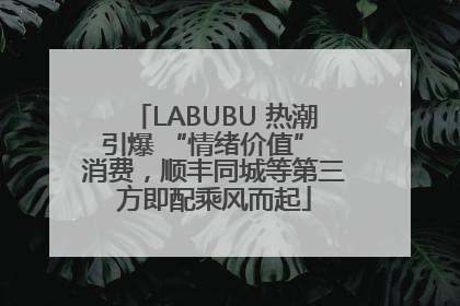 LABUBU 热潮引爆 “情绪价值” 消费，顺丰同城等第三方即配乘风而起