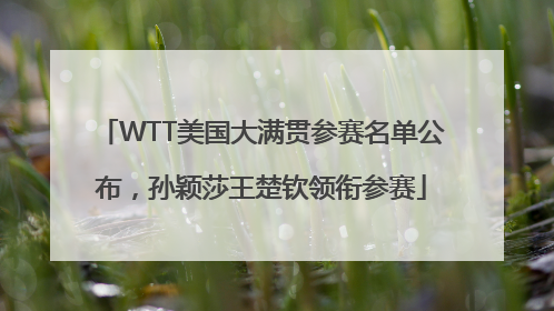 WTT美国大满贯参赛名单公布，孙颖莎王楚钦领衔参赛